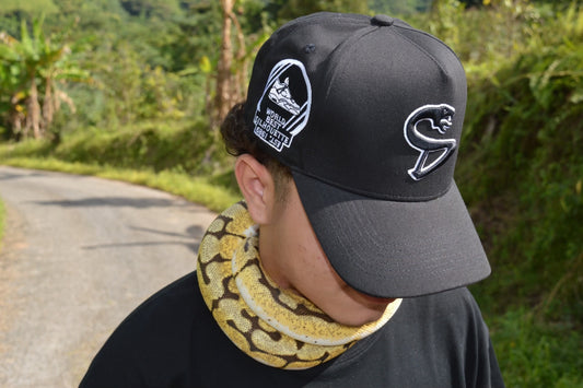 Sneaks Drop #03 "BlackSnake"