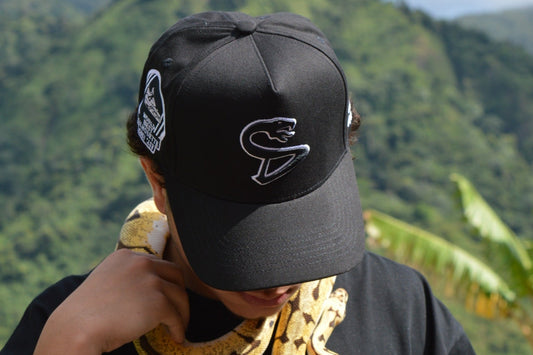 Sneaks Drop #03 "BlackSnake"